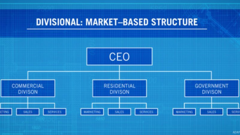 Envision and Develop Organizational Structure